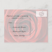 Mooie Red Rose Wedding RSVP briefkaart -Zwart (Achterkant)