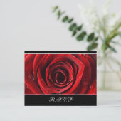 Mooie Red Rose Wedding RSVP briefkaart -Zwart (Staand voorkant)