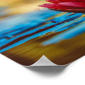 Mooie Red Water Lily Poster (Hoek)