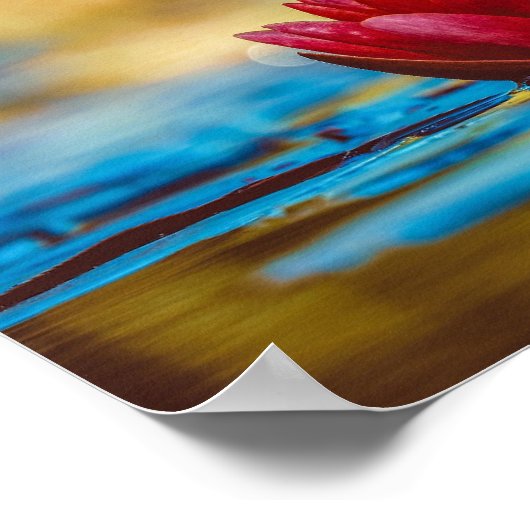 Mooie Red Water Lily Poster (Hoek)