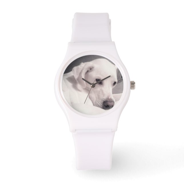 Mooie Regal White Labrador Mix Dog Watch Horloge (Voorkant)
