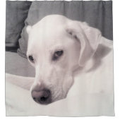 Mooie Regal White Labrador Mix Hond Grijs Douche Douchegordijn (Voorkant)