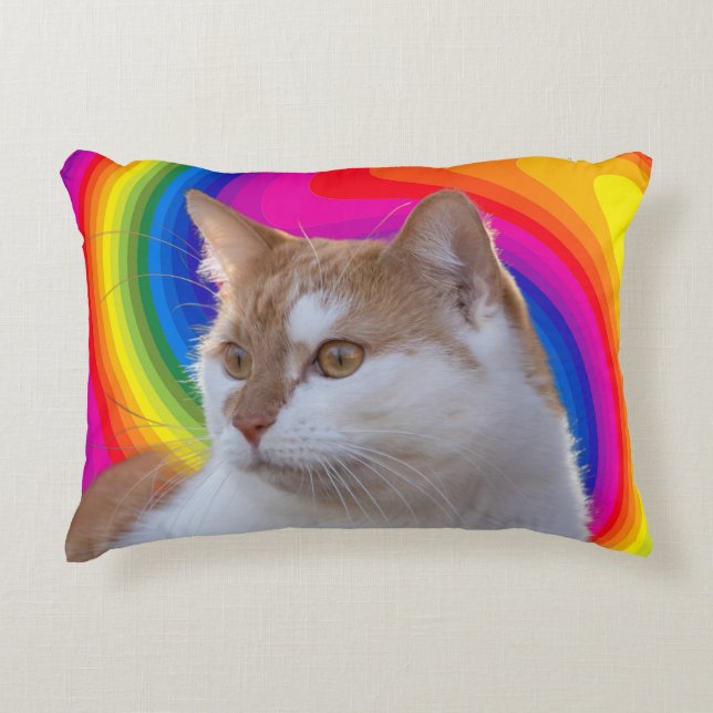 Mooie Regenboog Kleurrijke Kat Foto Accent Kussen (Voorkant)