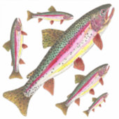 Mooie Regenboogforel = 5 Afbeeldingen op dezelfde Sticker (Voorkant)