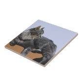 Mooie, relaxende kat tegeltje (Zijkant)