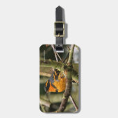 Mooie reuzenhaai in de boom bagagelabel (Voorkant verticaal)