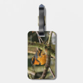 Mooie reuzenhaai in de boom bagagelabel (Achterkant verticaal)