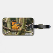 Mooie reuzenhaai in de boom bagagelabel (Achterkant horizontaal)