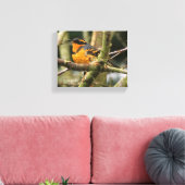 Mooie reuzenhaai in de boom canvas afdruk (Insitu (Woonkamer))