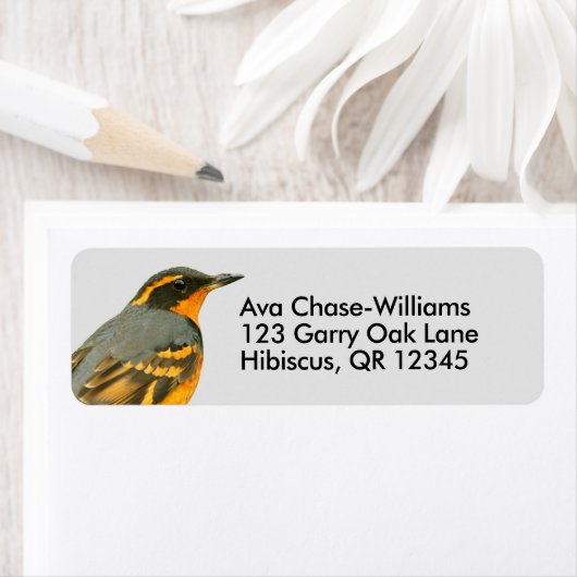 Mooie reuzenhaai in de boom etiket (Insitu)