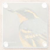 Mooie reuzenhaai in de boom glazen onderzetter (Achterkant)