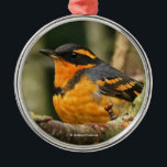 Mooie reuzenhaai in de boom metalen ornament<br><div class="desc">Voeg een vleugje natuur en elegantie toe aan de feestdagen met dit ornament met een wildlife-thema! Een van mijn favoriete vogels om te fotograferen, en ook een van de meest ongrijpbare. Deze mooie mannelijke bonte lijster was een beetje verbijsterd, maar niet erger, want hij draag in een raam, maar hij...</div>