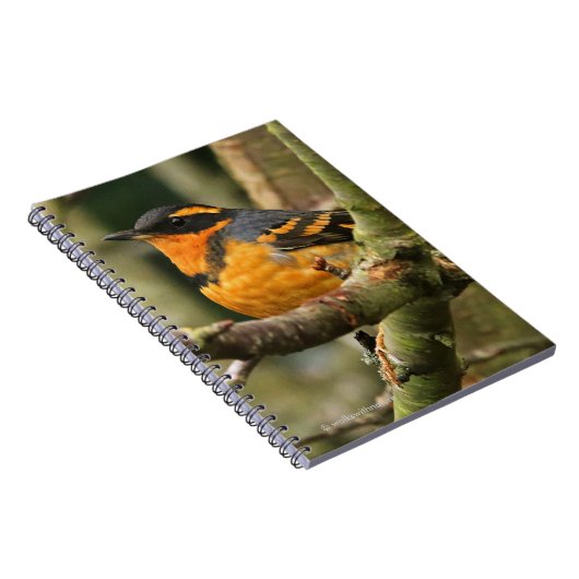 Mooie reuzenhaai in de boom notitieboek (Rechterzijde)