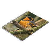 Mooie reuzenhaai in de boom notitieboek (Linkerzijde)