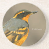 Mooie reuzenhaai in de boom zandsteen onderzetter (Voorkant)