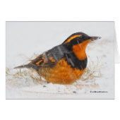 Mooie reuzenhaai in de sneeuw (Voorkant Horizontaal)