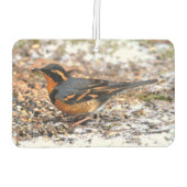 Mooie reuzenhaai in de sneeuw luchtverfrisser (Achterkant)