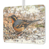 Mooie reuzenhaai in de sneeuw luchtverfrisser (Links)