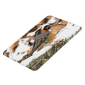 Mooie reuzenhaai in de sneeuw magneet (Linkerzijde)