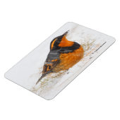 Mooie reuzenhaai in de sneeuw magneet (Linkerzijde)