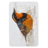 Mooie reuzenhaai in de sneeuw magneet (Verticaal)