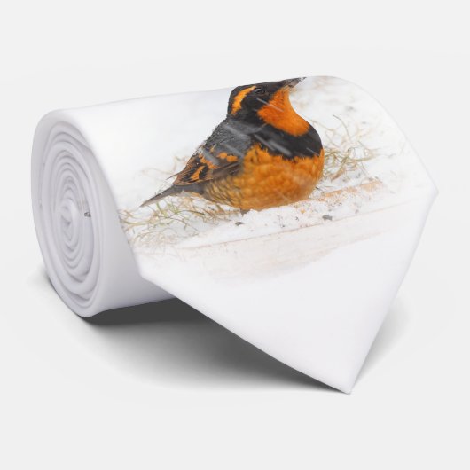 Mooie reuzenhaai in de sneeuw stropdas (Opgerold)