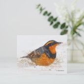 Mooie reuzenhaaienstaarten in de slagsneeuw briefkaart (Staand voorkant)