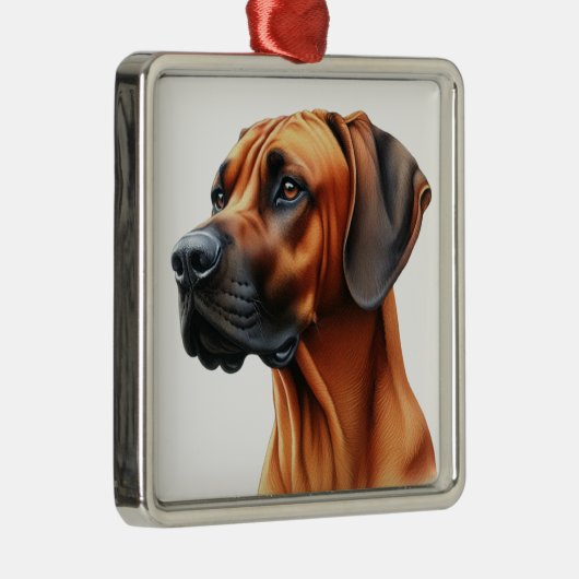 MOOIE RHODESIAN RIDGEBACK HOND METALEN ORNAMENT (Rechts)