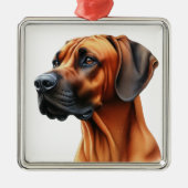 MOOIE RHODESIAN RIDGEBACK HOND METALEN ORNAMENT (Voorkant)