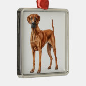 MOOIE RHODESIAN RIDGEBACK HOND METALEN ORNAMENT (Rechts)