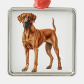 MOOIE RHODESIAN RIDGEBACK HOND METALEN ORNAMENT (Voorkant)