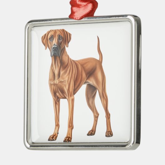 MOOIE RHODESIAN RIDGEBACK HOND METALEN ORNAMENT (Links)