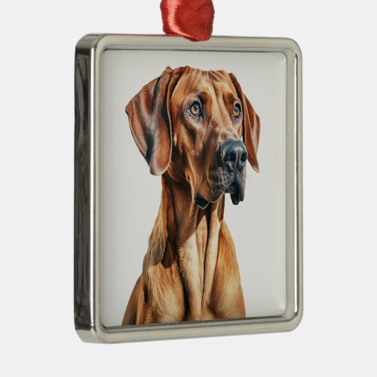 MOOIE RHODESIAN RIDGEBACK HOND METALEN ORNAMENT (Rechts)