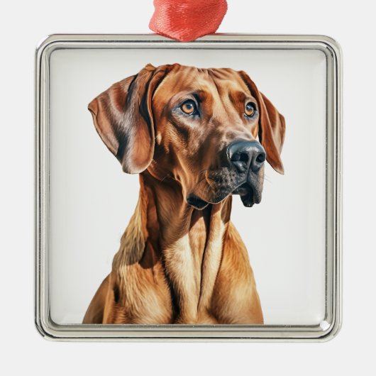 MOOIE RHODESIAN RIDGEBACK HOND METALEN ORNAMENT (Voorkant)