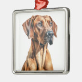 MOOIE RHODESIAN RIDGEBACK HOND METALEN ORNAMENT (Links)