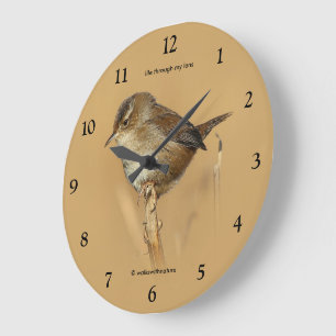 Mooie Rietzanger Zangvogel op Tak Grote Klok