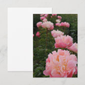 Mooie Rij van Roze Pioenrozen Notitiekaartje (Voorkant / Achterkant)