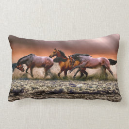 Mooie rijpaarden in Surf Kussen