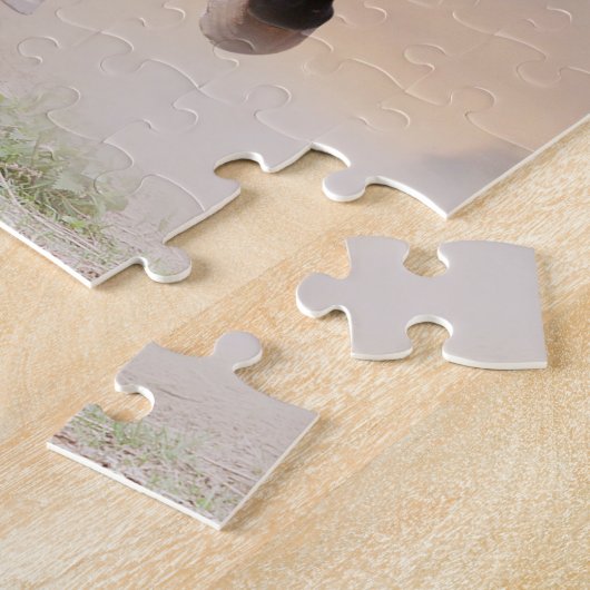 Mooie rijppaarden, puzzle legpuzzel (Zijkant)