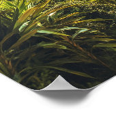 Mooie Rio de Janeiro Brazilië Reizen Poster (Hoek)