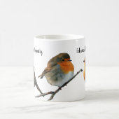 Mooie Robin bird red borsten familienaam Koffiemok (Center)