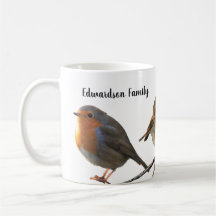 Mooie Robin bird red borsten familienaam