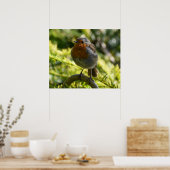 Mooie Robin Poster (Keuken)