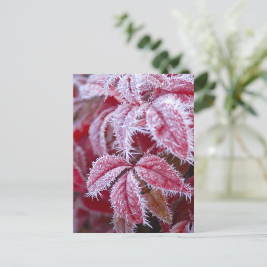 Mooie rode bladeren met stekelige vorst. briefkaart (Staand voorkant)