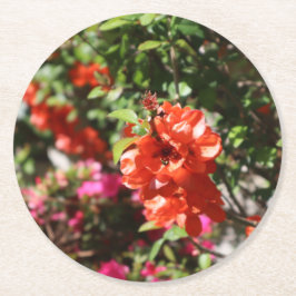 Mooie rode bloeiende Quince fotografische bloemen Ronde Kartonnen Onderzetter