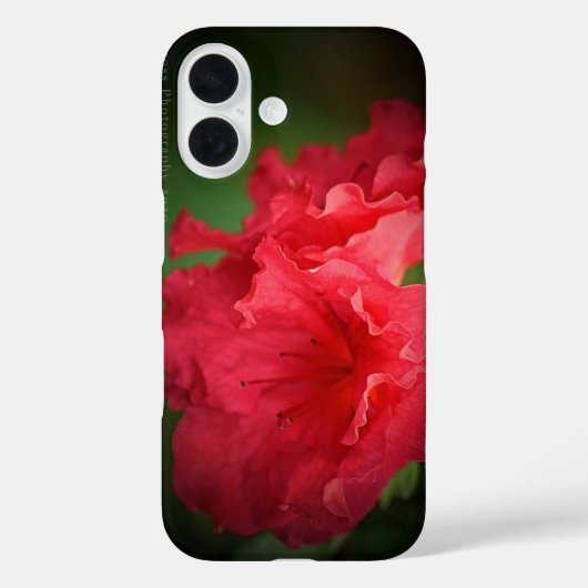 Mooie Rode Bloem * Hoesje-Mate iPhone Case (Achterkant)