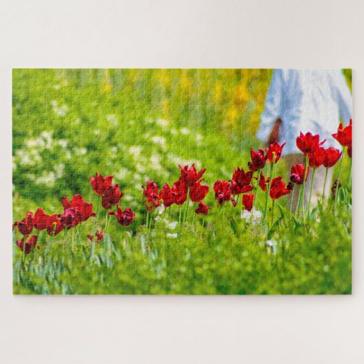 Mooie rode bloemen, Nederland Legpuzzel (Horizontaal)