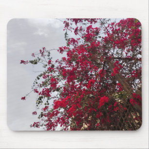 Mooie rode Bougainvillea Bloemen & Bewolkte Lucht  Muismat