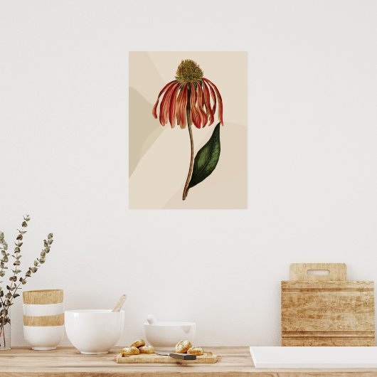 Mooie  Rode Coneflower Green Leave Poster (Keuken)
