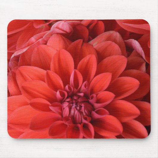 Mooie rode dahlia bloemen muismat (Voorkant)